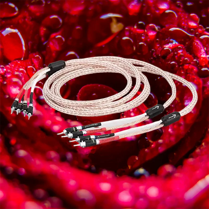 

Audiophile-Grade 16-Conductor OCC Cable: Ultra-Pure Spec-8TC Bi-Wire for Hi-End Loudspeaker Transmission​