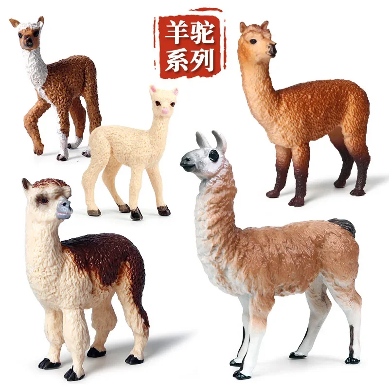 Wild Animal Models Decorative Novel Children's Science Education Static Solid Alpaca Plastic Toys Ornaments Animals Figurines