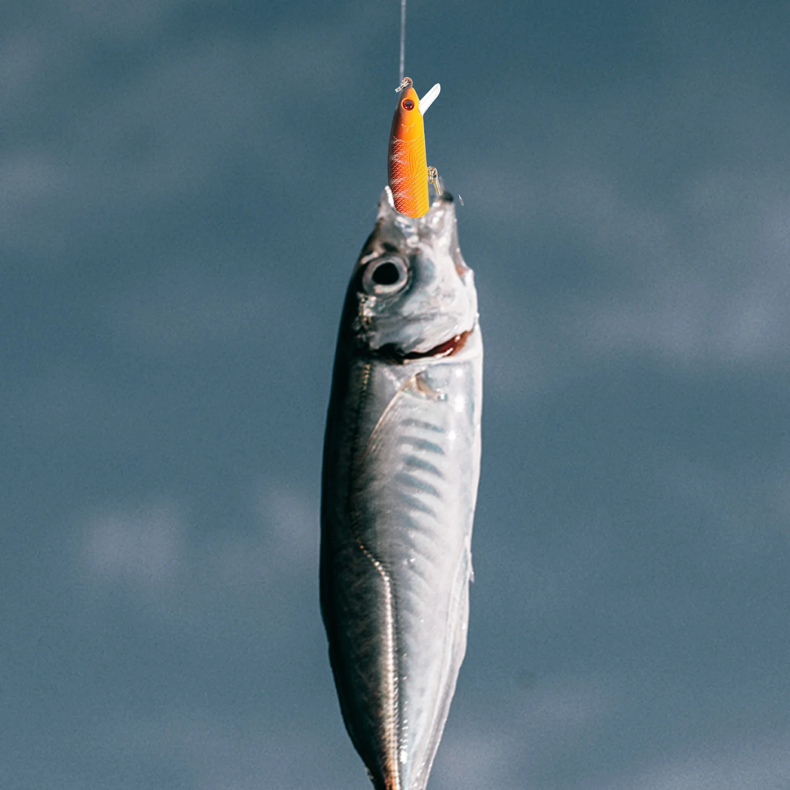 

4Pcs Realistic Fake Lures High Quality Plastic Fishing Lures for Outdoor Angling Simulation Bait Bass Salmon Trout