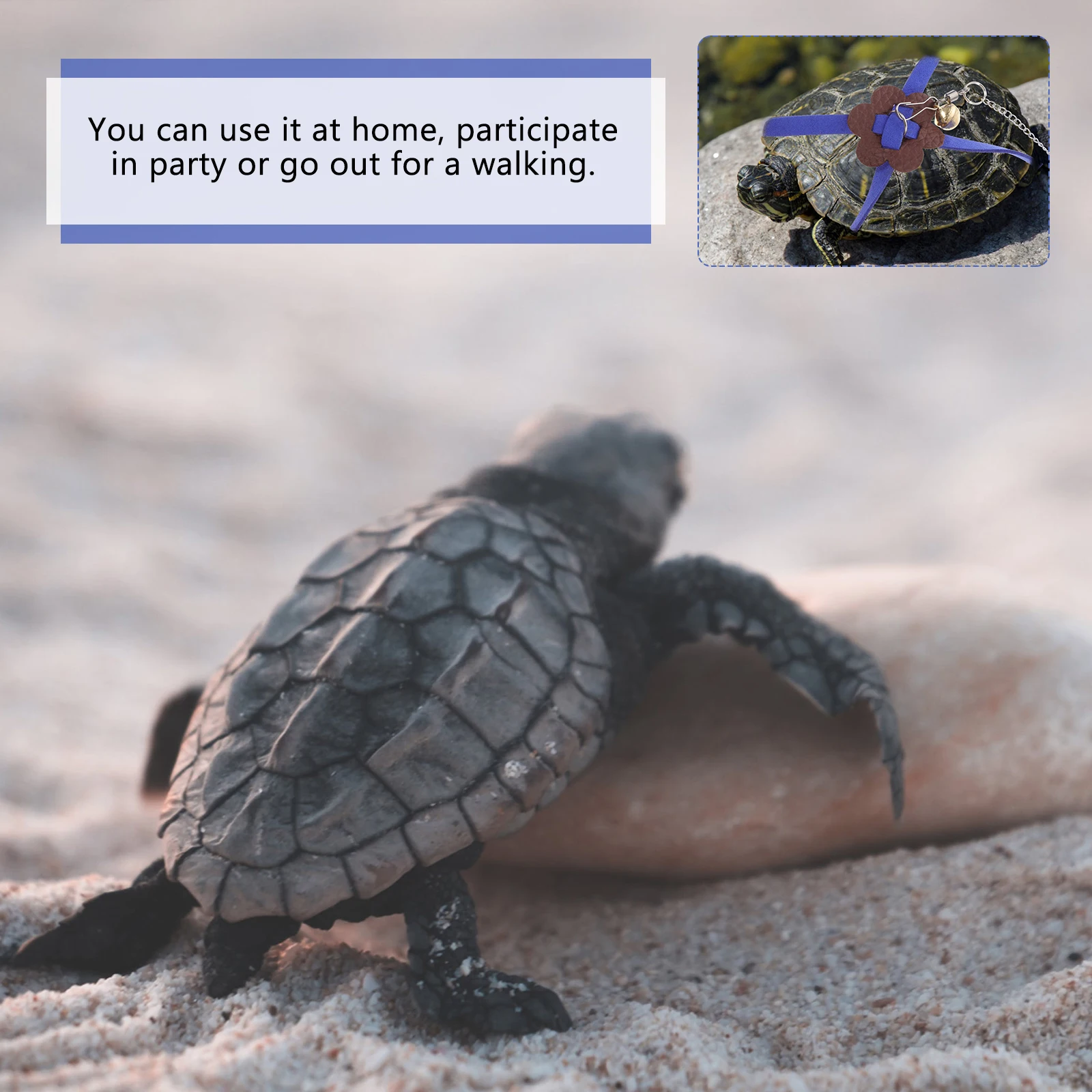 

Turtle Traction Harness Korean Turtle Walking Leash Tortoise Walking Pet Pulling Rope Leash Durable Adjustable Pet Supplies