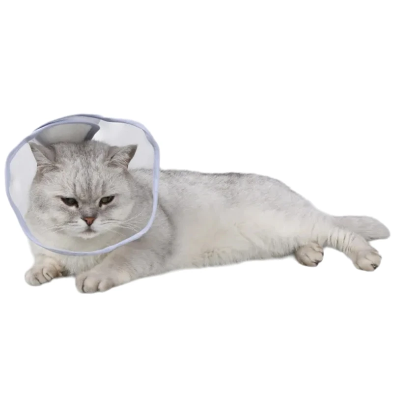 D0AD Hygienics Recovery Collar Promote Recovery and Comfort for Cats in Post