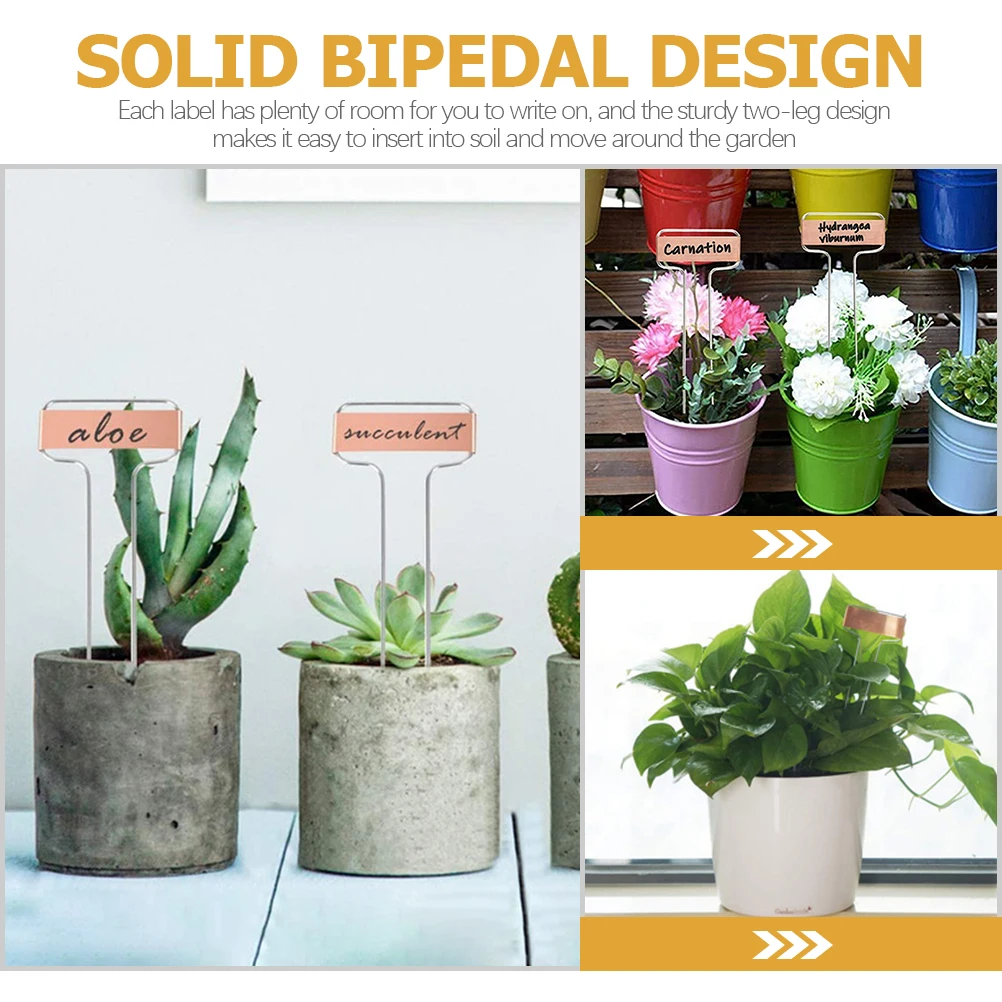 

20Pcs Plant Markers Durable and Easy to Use for Vegetable Plots Flower Beds and Rockery Long-Lasting