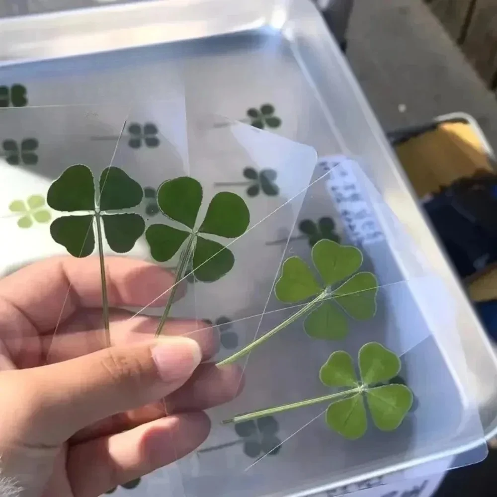 Cartões Postais Trevo da Sorte Transparentes com Tema de Grama, Cartões de Desejo Ideais para Marcadores de Livros e Decorações, Presentes Perfeitos para Feriados