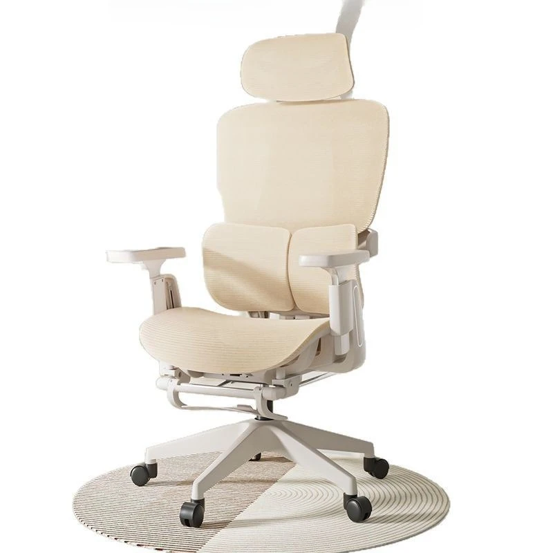 

Ergonomic chair, office, dormitory computer chair