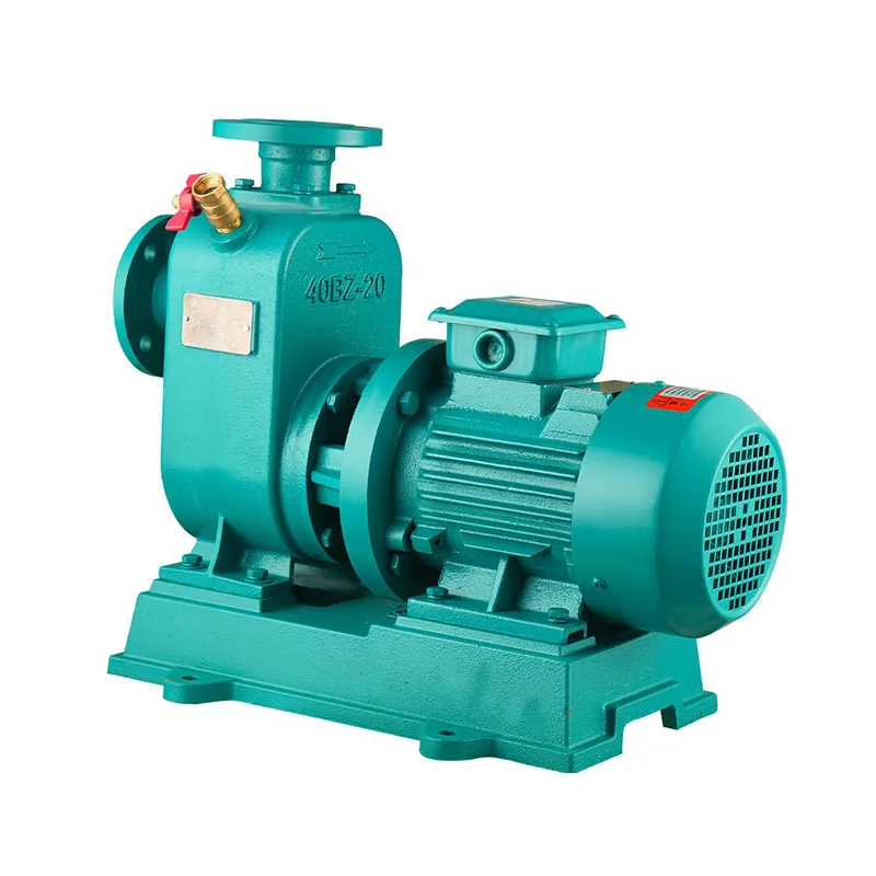 High Pressure Mechanical Self-Priming Electric Pump Chemical Pump Transfer Water Pump