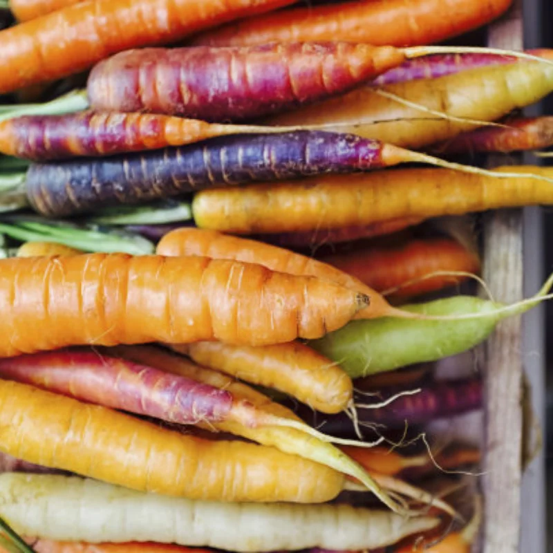 1 pz borsa portapacchi borsa giocattolo per 1/10 1/8 RC modello arrampicata fuoristrada auto radiocomandata simulazione umore pezzo Outdoor Rainsto