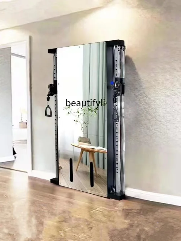 

S7486 ss Wall-Mounted Wall Small Birds Gantry Single-Side Wall-Sticking Comprehensive Trainer Mirror Flying Bird Fitness Rib Woo