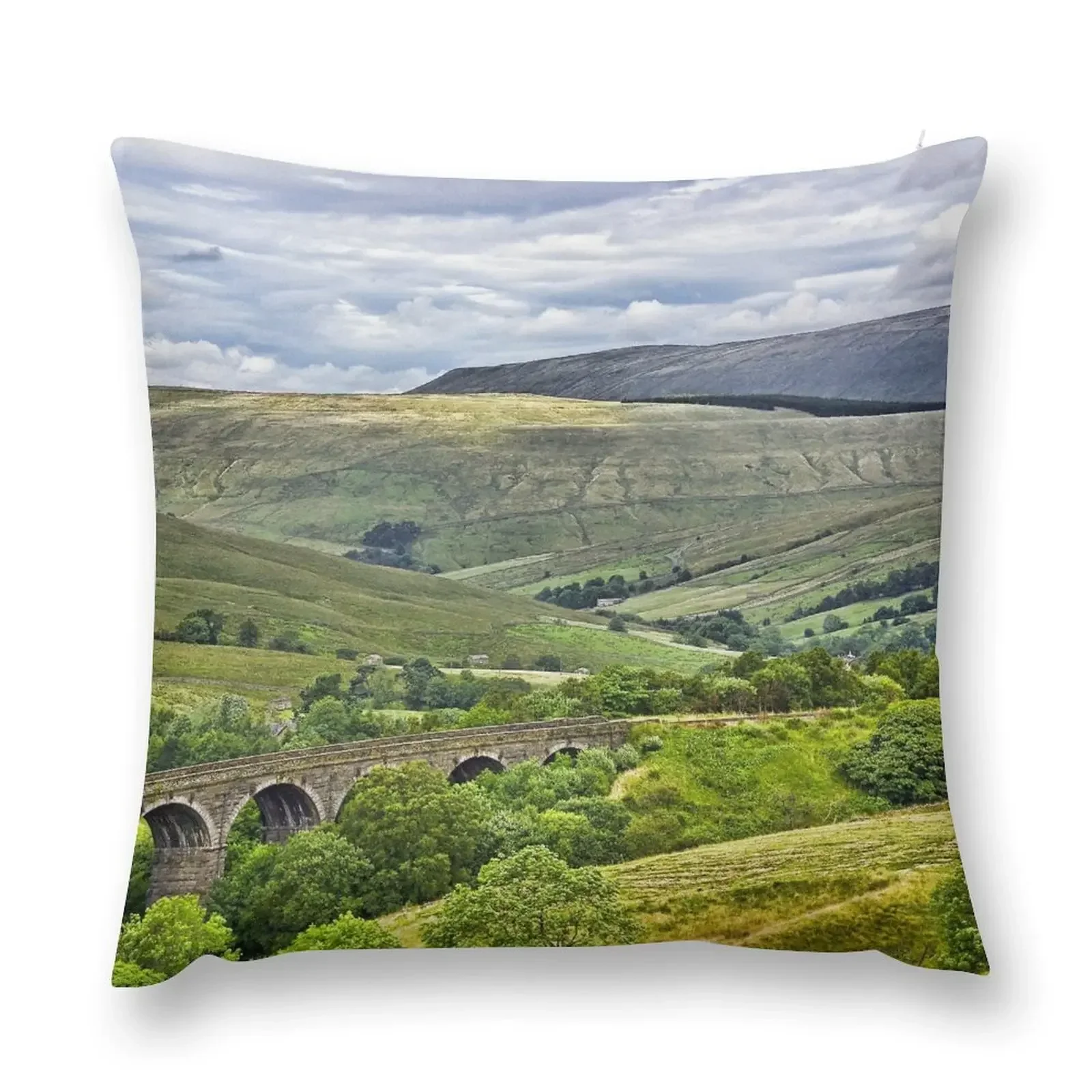

Dentdale Throw Pillow Cushions For Children Marble Cushion Cover pillow