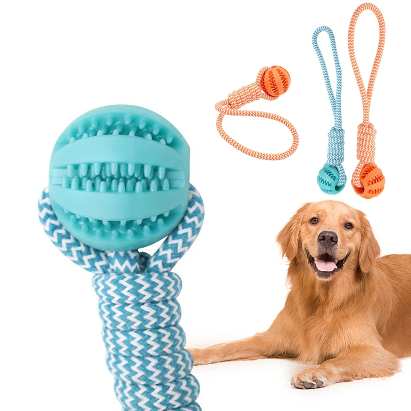 Palline che perdono in gomma per animali domestici giocattolo per cani di piccola taglia trattare palline con corda cucciolo masticare giocattoli