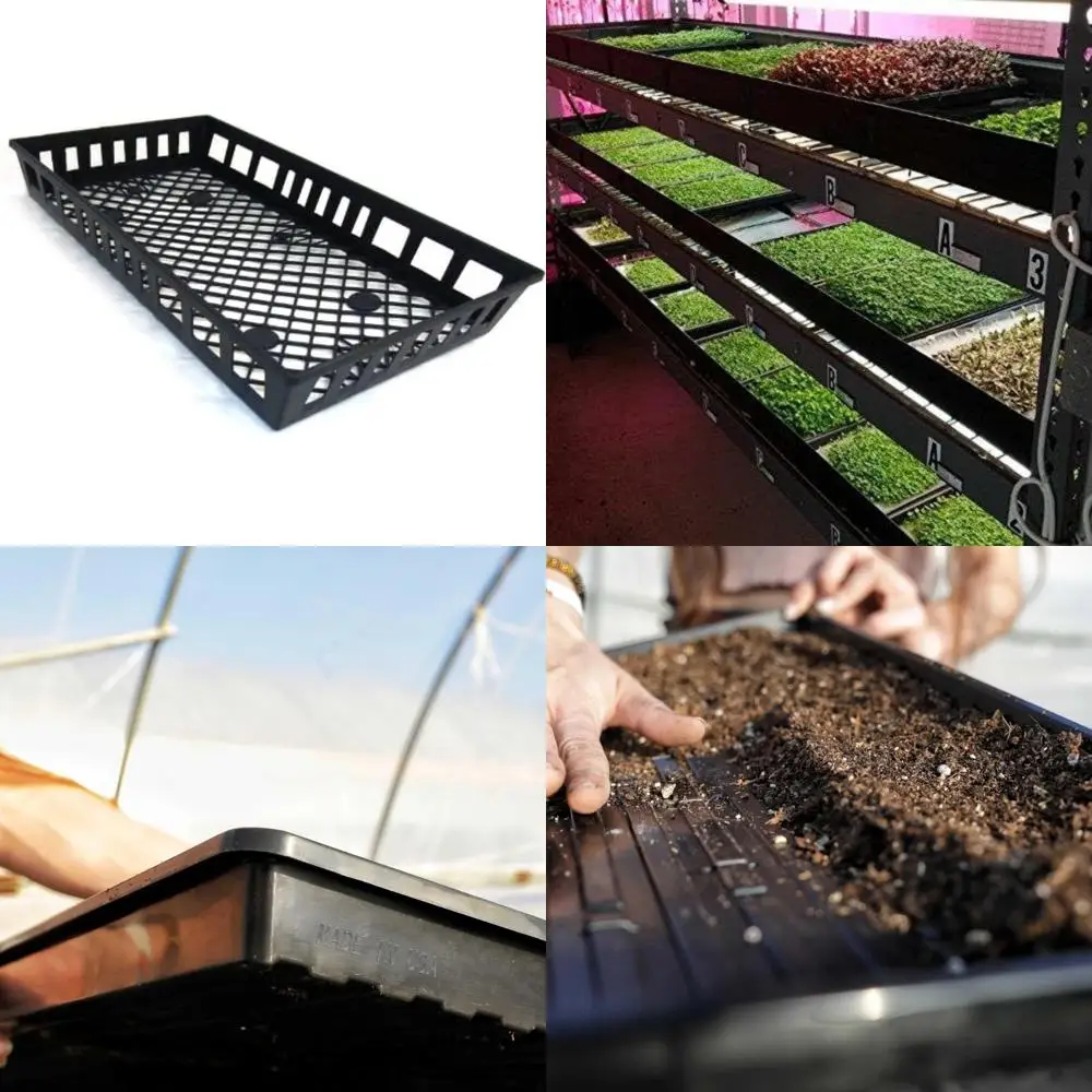 

1020 лотков в форме ромашки в наборах из 10 шт.