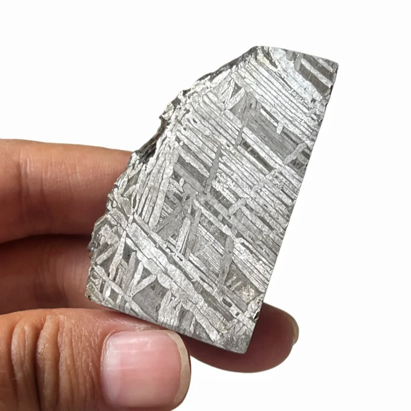Genuine Muonionalusta Iron Meteorite Half‑Cut Slab, Widmanstätten Veins & Original Fusion Crust for Collectors TC792