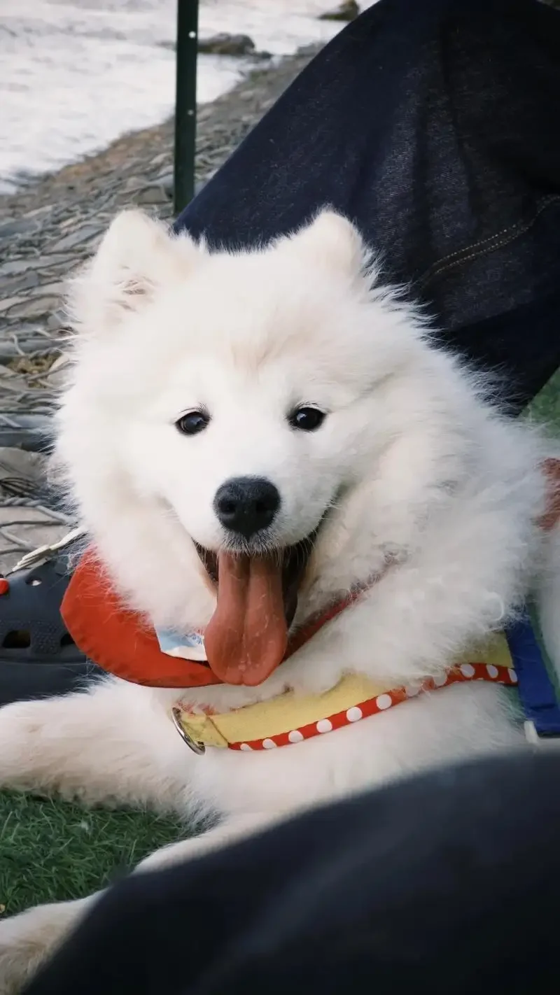 

For Mazda CX-30 Car Covers Outdoor Waterproof Dustproof Sun Rain Snow Protection Thick Oxford Cloth Full