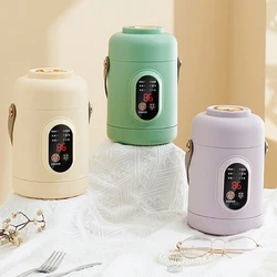 Portable Electric Kettle Rice Cooker Lunch Box Mini Soup Stew Slow Cooking Pot Porridge Food Steamer Noodles Pasta Heater Hotpot