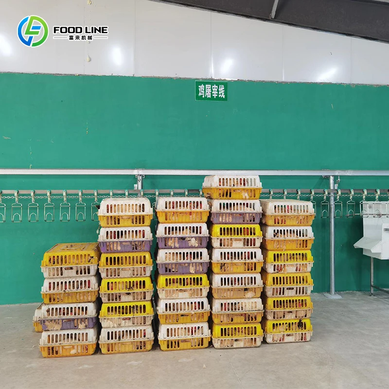 معدات ذبح المطاعم الجديدة آلة ذبح الطيور مع مزيل ريش الدجاج