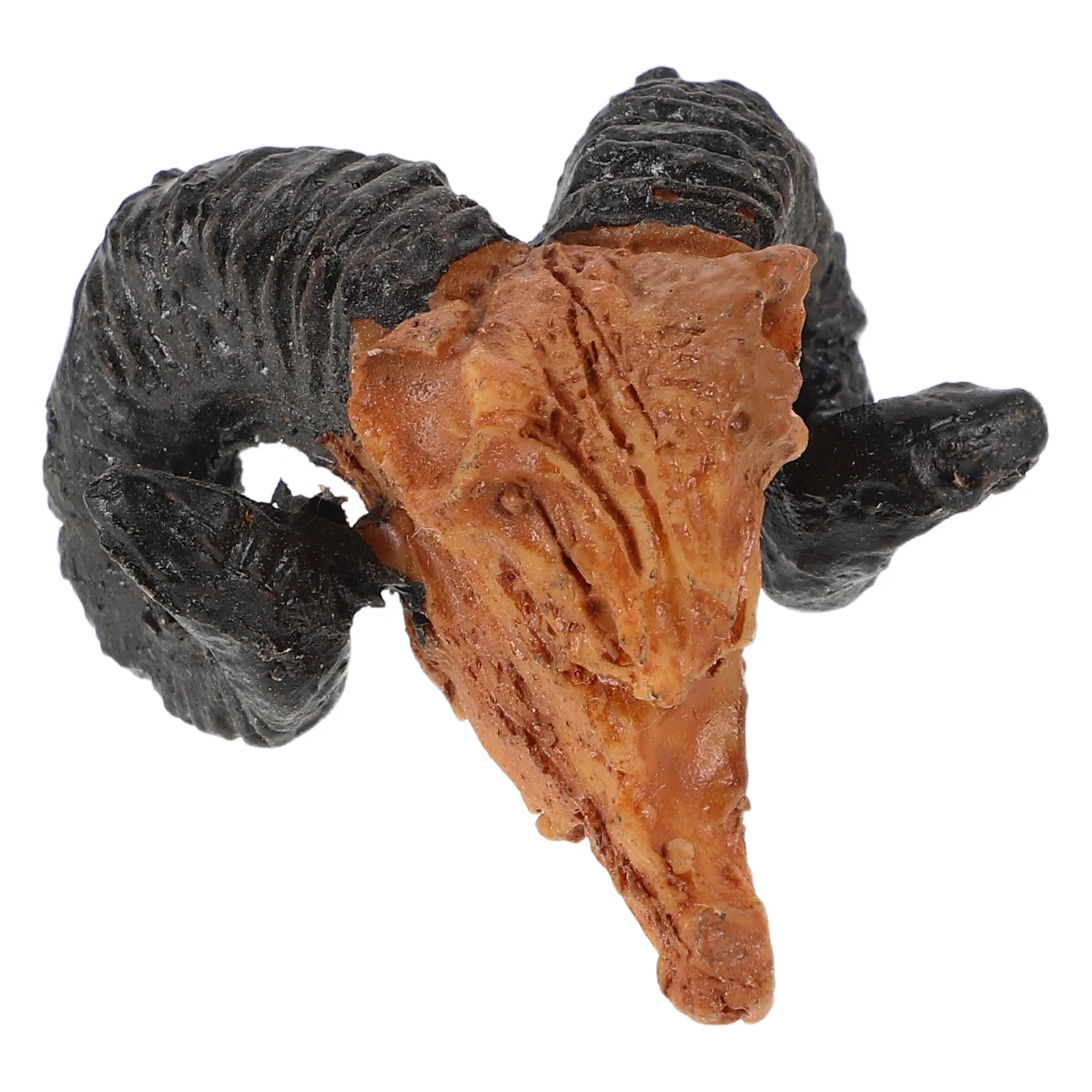 صغيرة الراتنج الماعز الجمجمة رؤساء المشهد الصغير الحيوان الجمجمة التماثيل لجميع القديسين عيد الميلاد الحرف ديكور جدار صغير الفن مايكرو #5