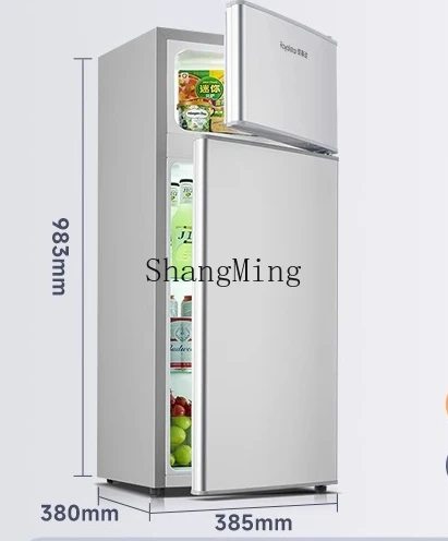 ZYY mini frigorifero a doppia porta singola a risparmio energetico per dormitorio in affitto per piccoli uffici domestici