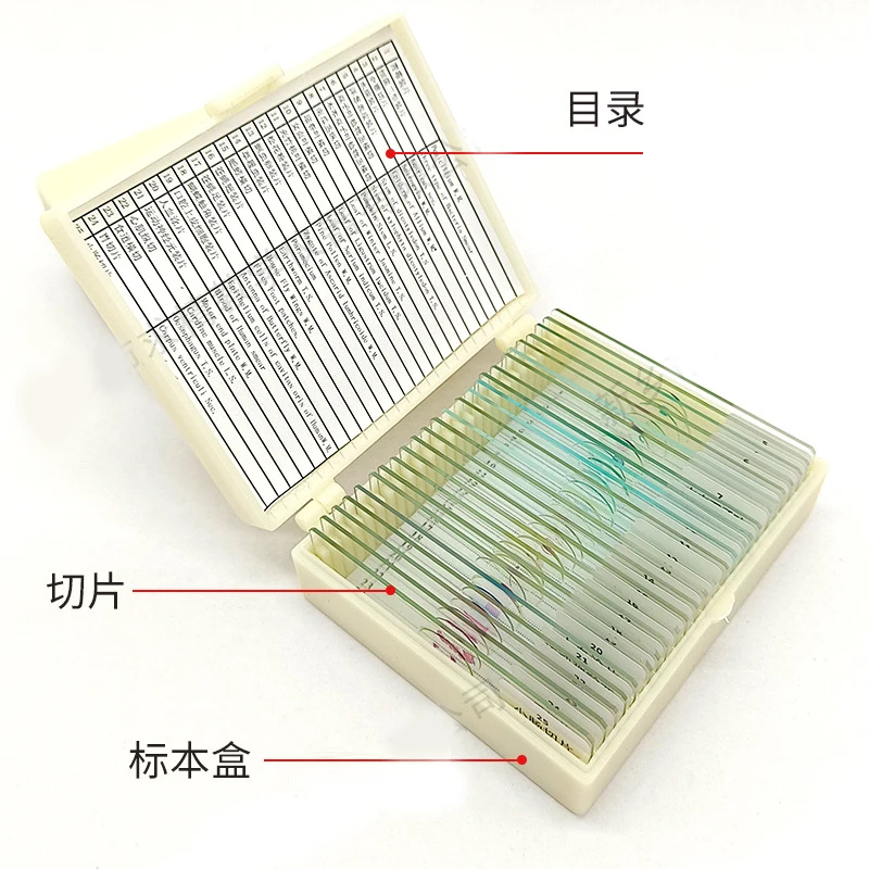 Professional Prepared Plant Animal Human Tissue Section Histology Specimen Microscope Slide for Basic Science Biology Education