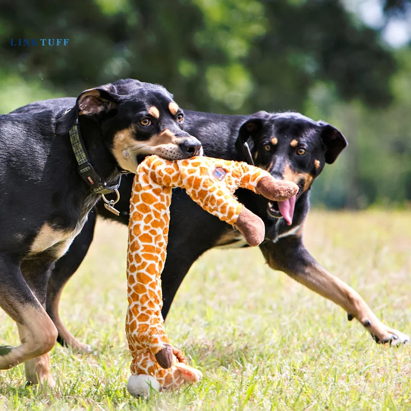 Linktuff Pet Dog Squeaky Training Toys - Giraffe/Rabbit/Raccoon/Fox