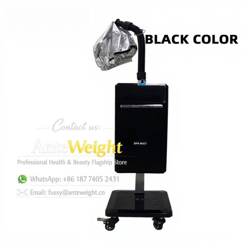 Professional Hair Treatment Steam Machine Salon Equipment Micro Mist Hair Steamer With Cap