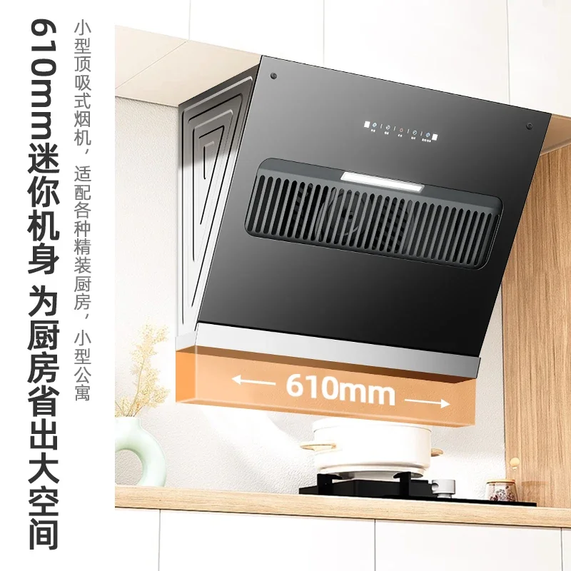 220V Royalstar Small Range Hood Powerful Suction Compact Side Type Kitchen