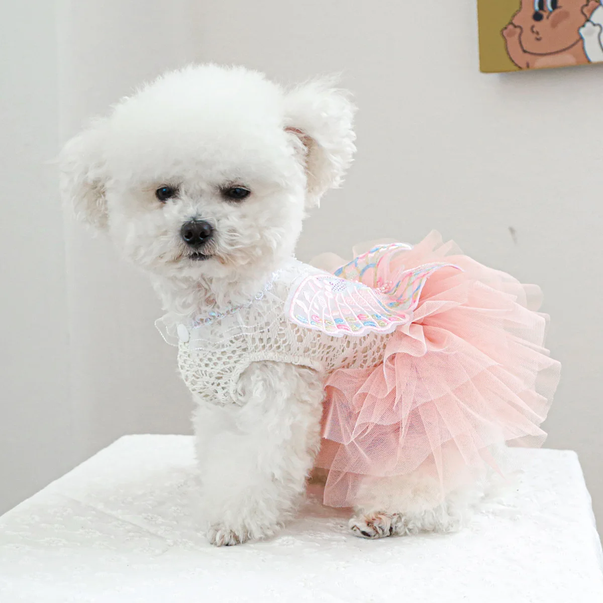 Dog Princess Dress Butterfly Lace  Costumes For Dog Chihuahua Yorkie Clothes Wedding Party Cooling Vest With Rose Bows Tutu Skir