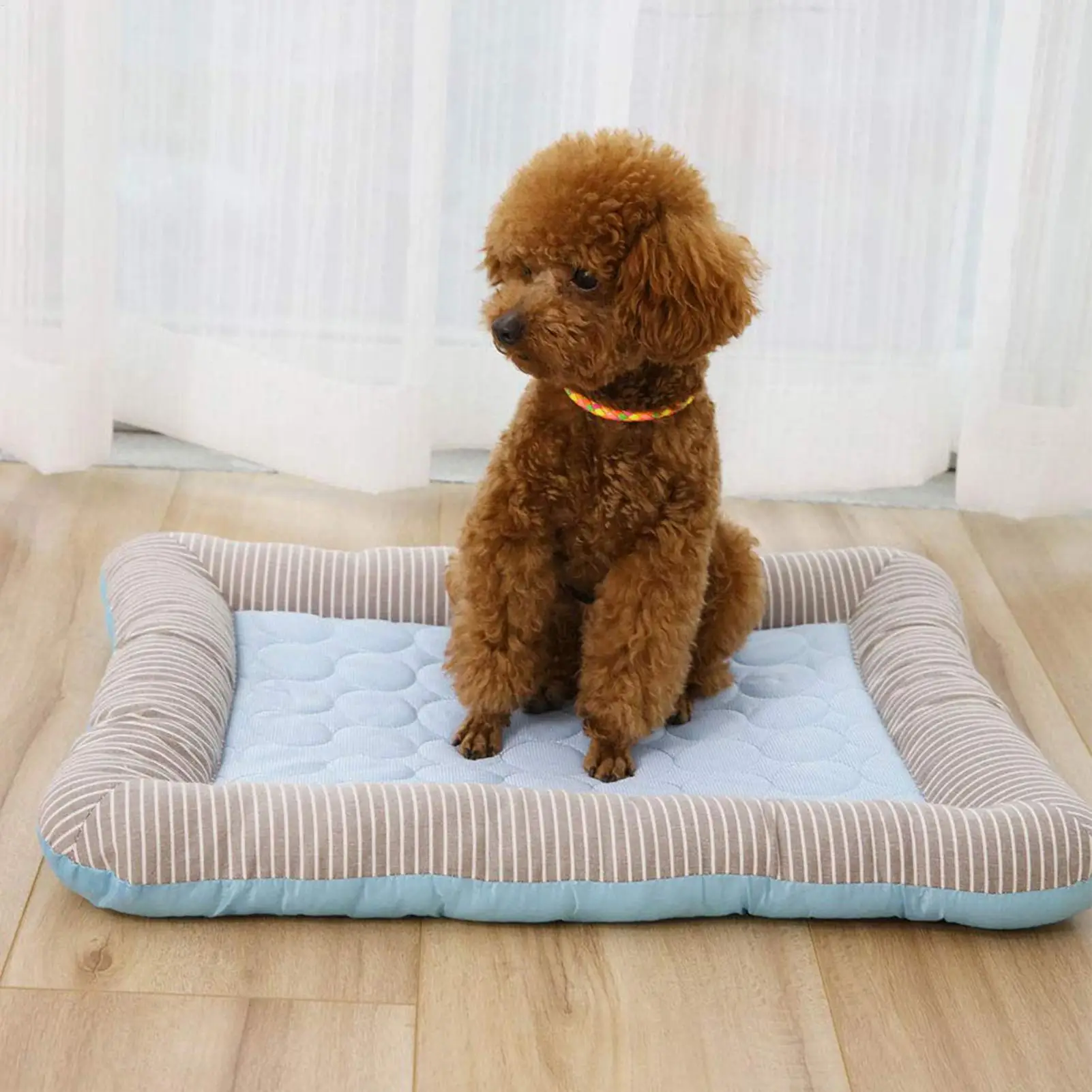 Thumbnail 2 - #19 Best Cooling Puppy Mats to Buy In 2026