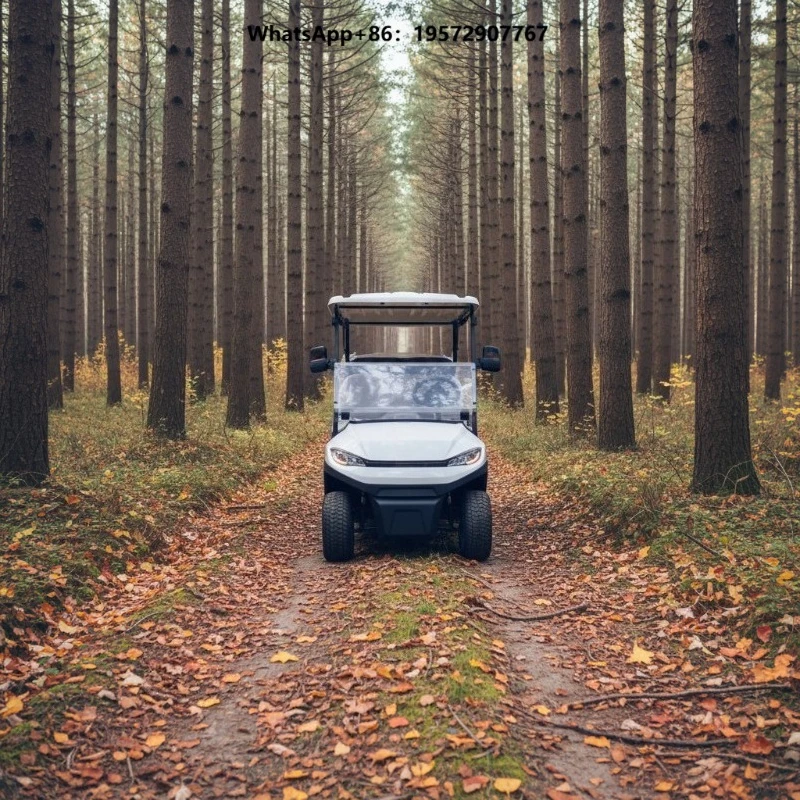 Custom Eco-friendly 6-Seater Electric Golf Cart 48V4kw Power Motor Lift Club Car Hot Selling