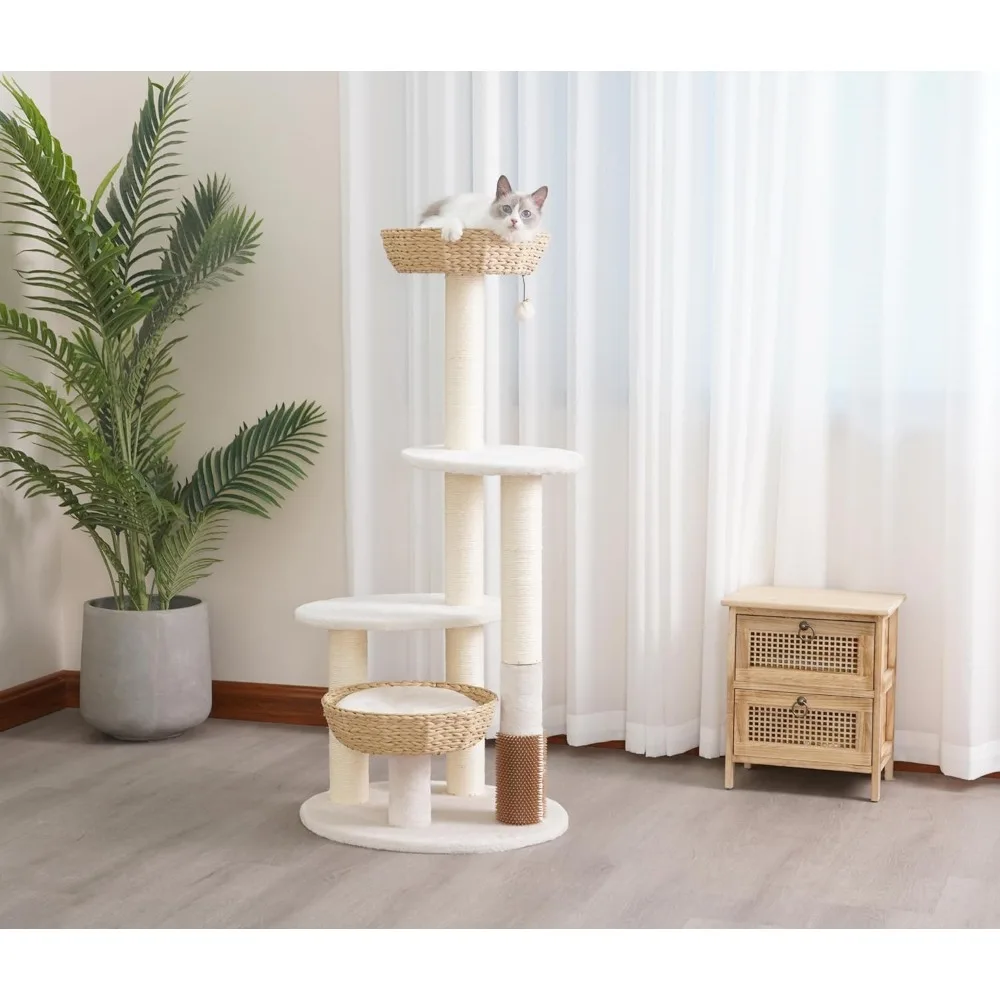 Eco-Friendly Pharao… - image