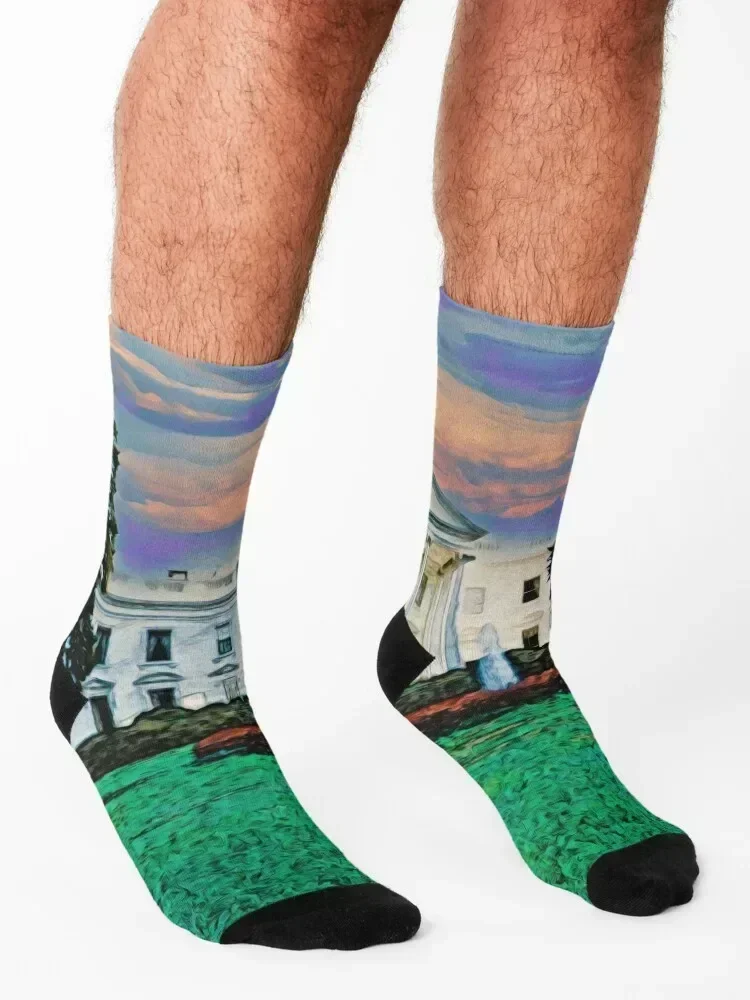 THE WHITE HOUSE Socks bright garter winter christmass gift Stockings man Ladies Socks Men's