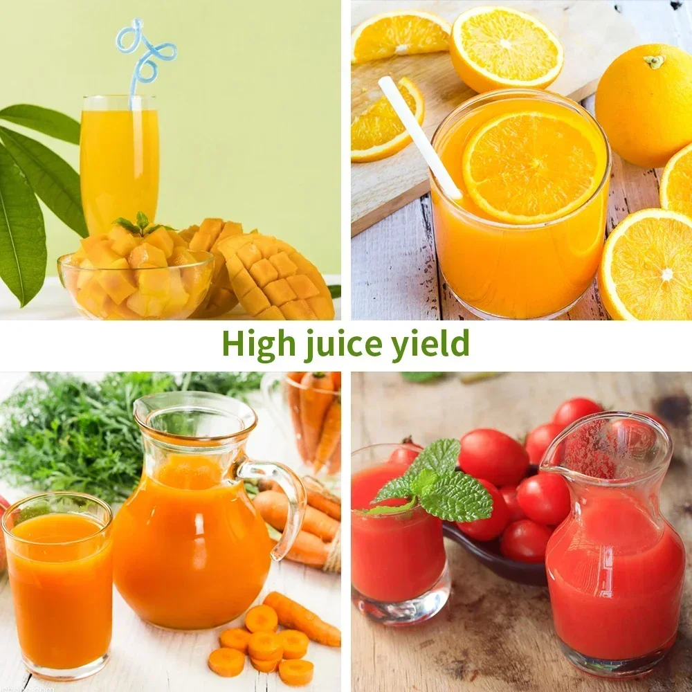 250W Slow Cold Press Fruit Juice Extractor, Anti-jam Reverse, Easy Clean, BPA-Free Quiet Household Vegetable Juicer