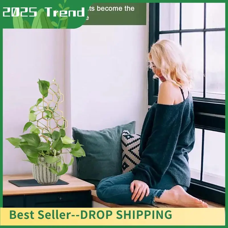 

3 шт. деревянная сотовая подставка для скалолазания, решетчатая подставка для скалолазания, садовая подставка для горшков