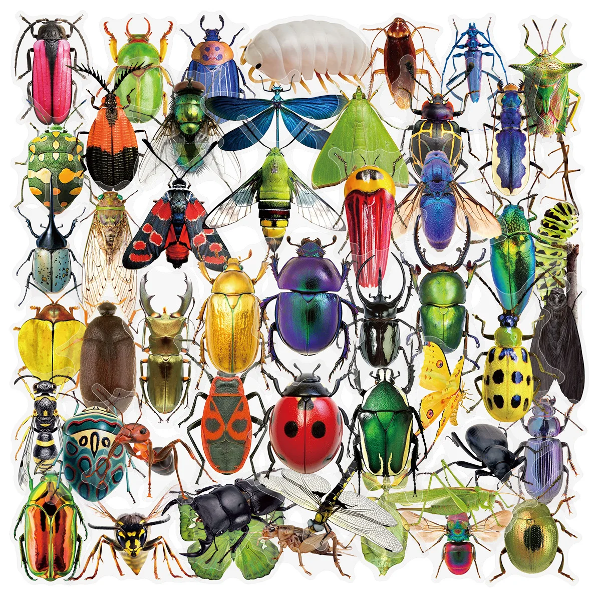 50Pcs Transparent PET Sticker Realistic Insect Cartoon Stickers DIY Scrapbook Laptop Suitcase Car Cool Graffiti Decal Pack