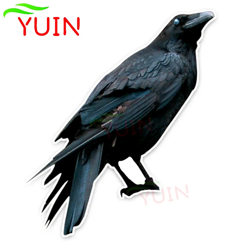 YUIN Personalized Car Sticker Unique Raven Decals Fashion PVC Bumper Decoration Accessories Accessories Waterproof Decal 16*13cm