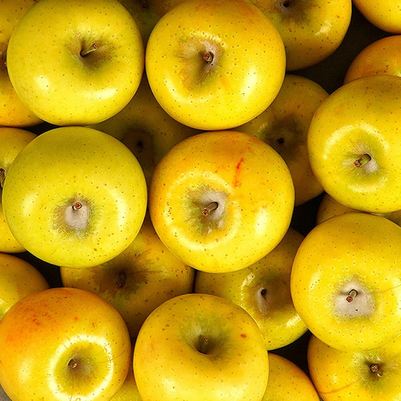 Sweet and Sour Golden Apple Shinano Gold Practical Value 2kg (Approximately 15 Apples)