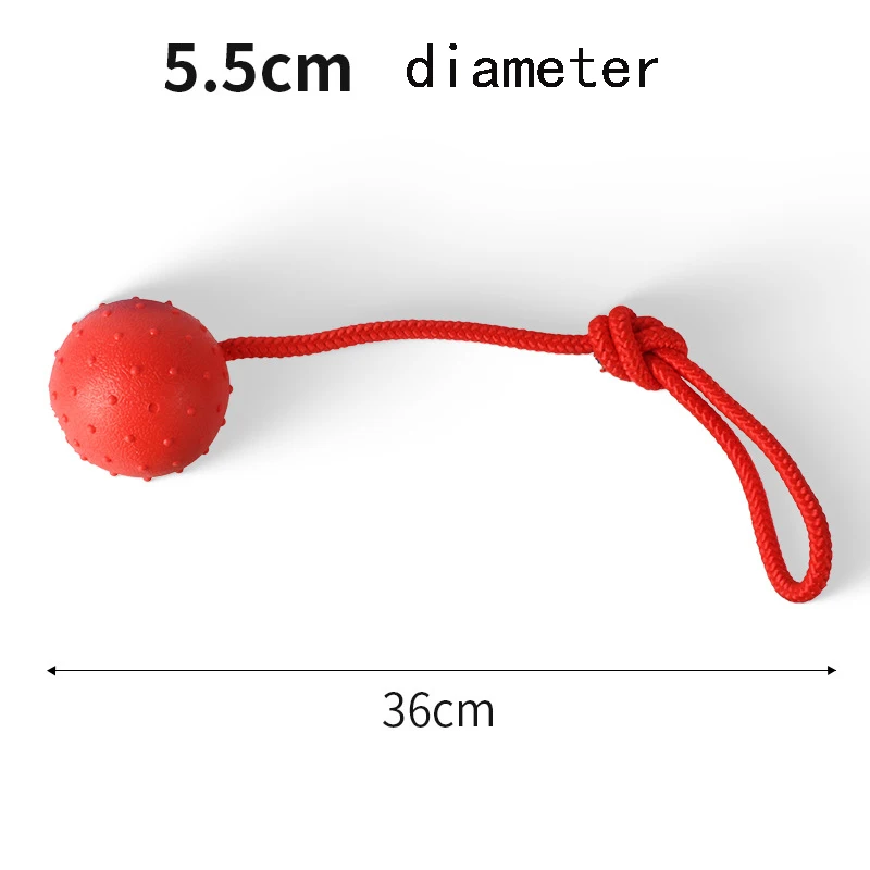Thumbnail 4 - #55 Best Puppy Balls to Buy In 2026