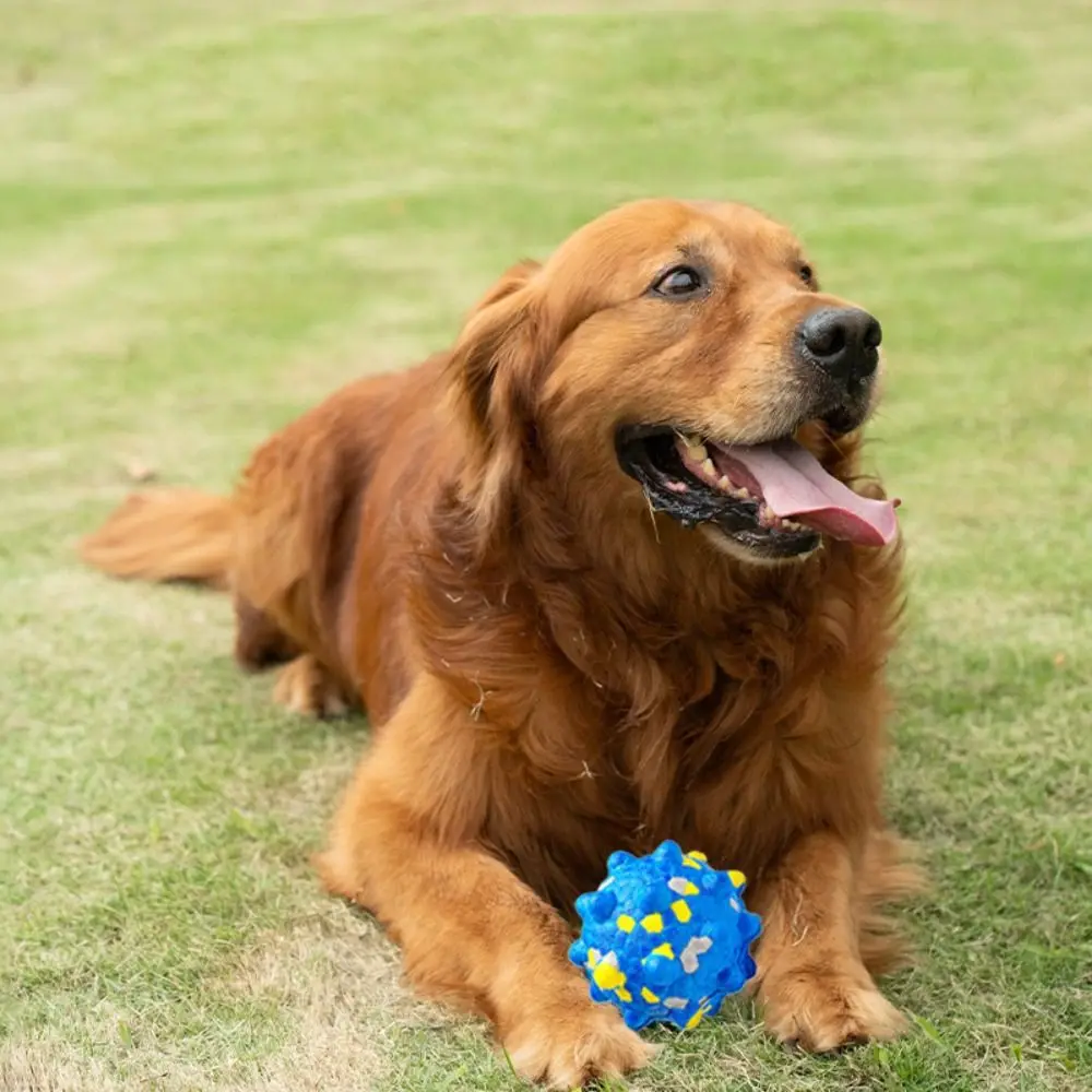 Suministros para mascotas, pelota de juguete resistente a mordeduras para mascotas, pelota antideslizante de alta elasticidad para perros que rebota, juguete para masticar para perros duradero y creativo, regalo