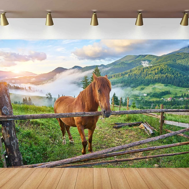 Horses Photography Backdrop Horse Grazes In Alpine Mountain Green Pasture Landscape Background Birthday Party Decor Poster Props