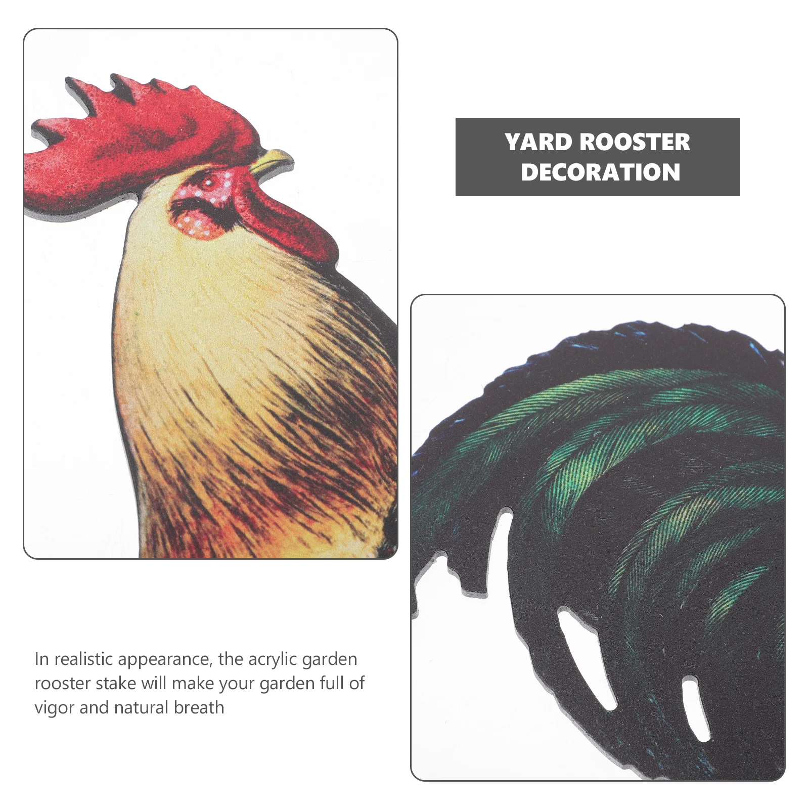 

Realistic Acrylic Rooster Garden Stake Chicken Yard Sign Lifelike Lawn Ornament Outdoor Courtyard Insert Yard Rooster Decoration