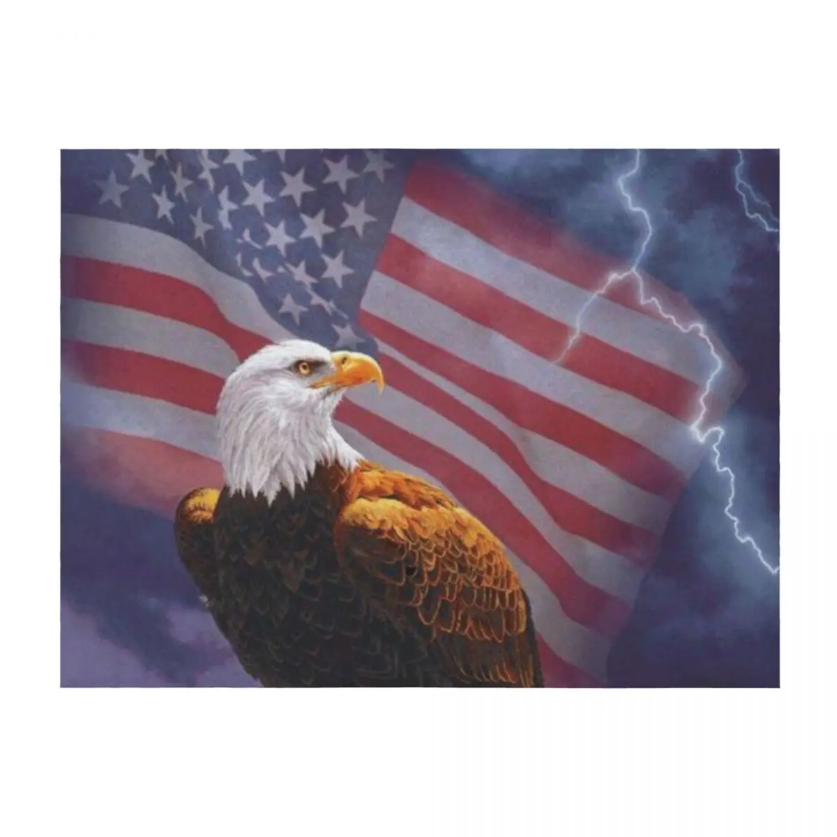 

American Flag Bald Eagle Lightning Throw Blanket Luxury Brand Bed covers Retros bed plaid Blankets