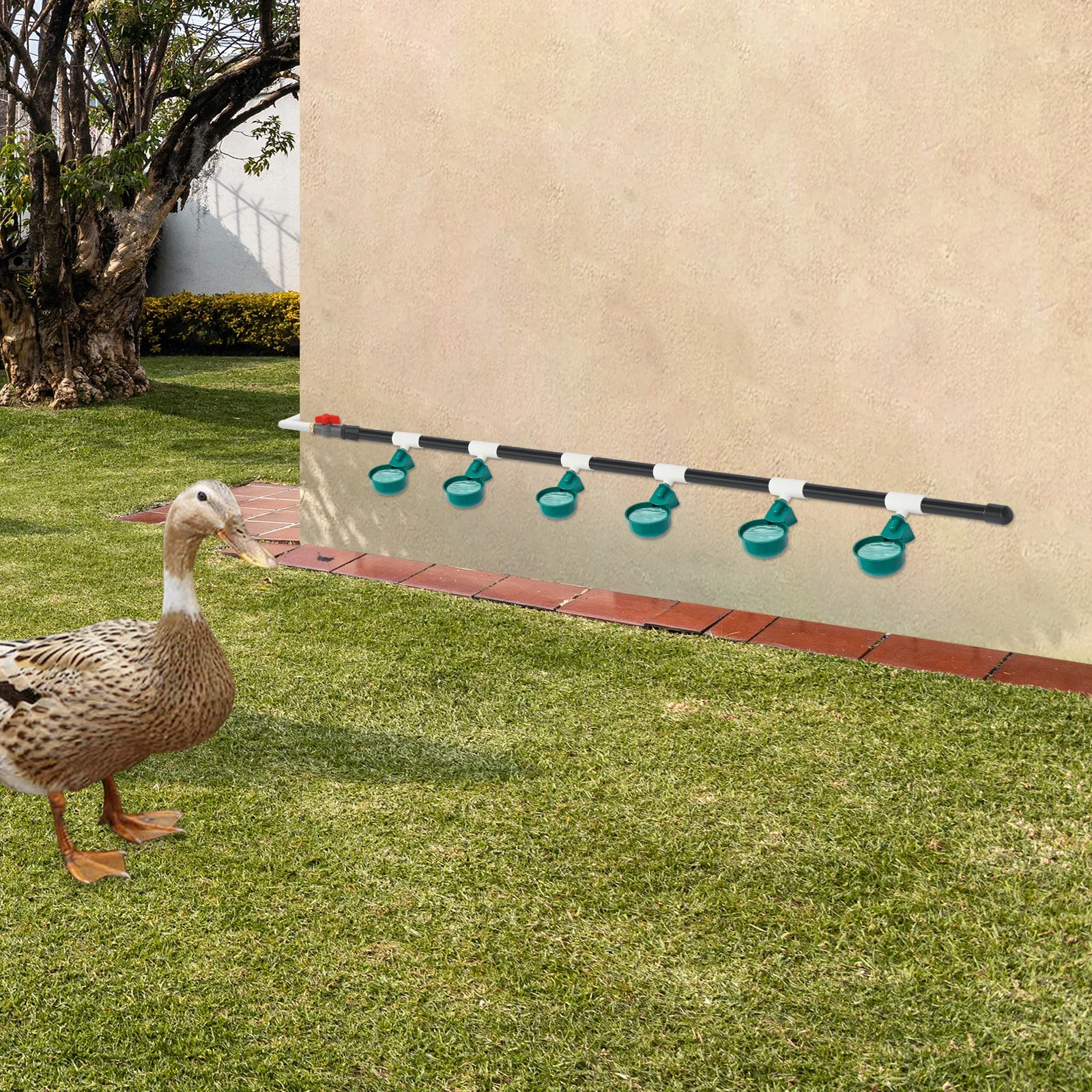 شرب الدجاج الأوتوماتيكي 9 أوعية صمام تعويم سقي الدواجن ونظام الشرب مع مقاوم للتسرب لمزرعة الدواجن