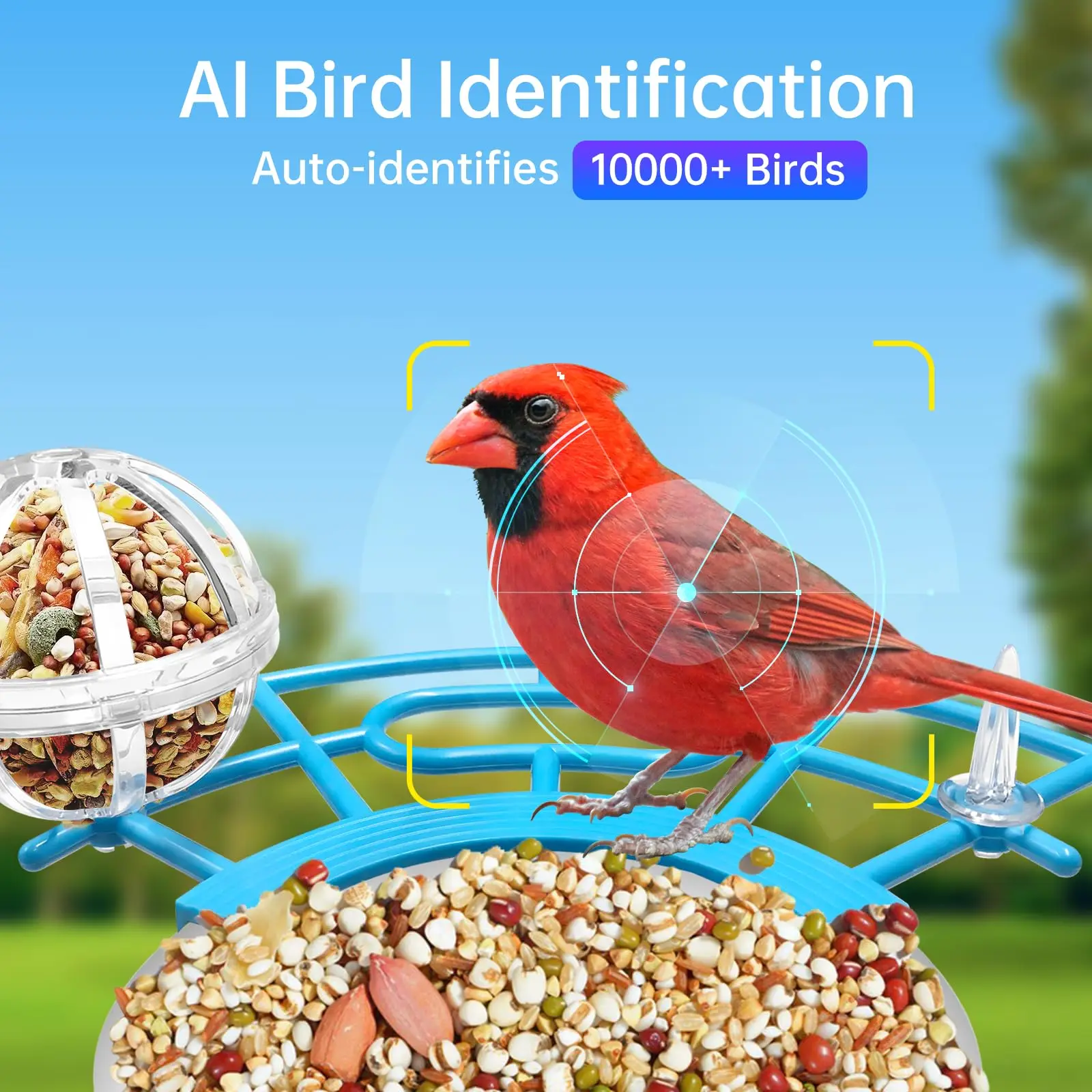 Outdoor Solar Bird Feeder With HD Camera AI Bird Recognition Auto Capture 2-Way Audio IP65 Waterproof For Backyard Bird Watching