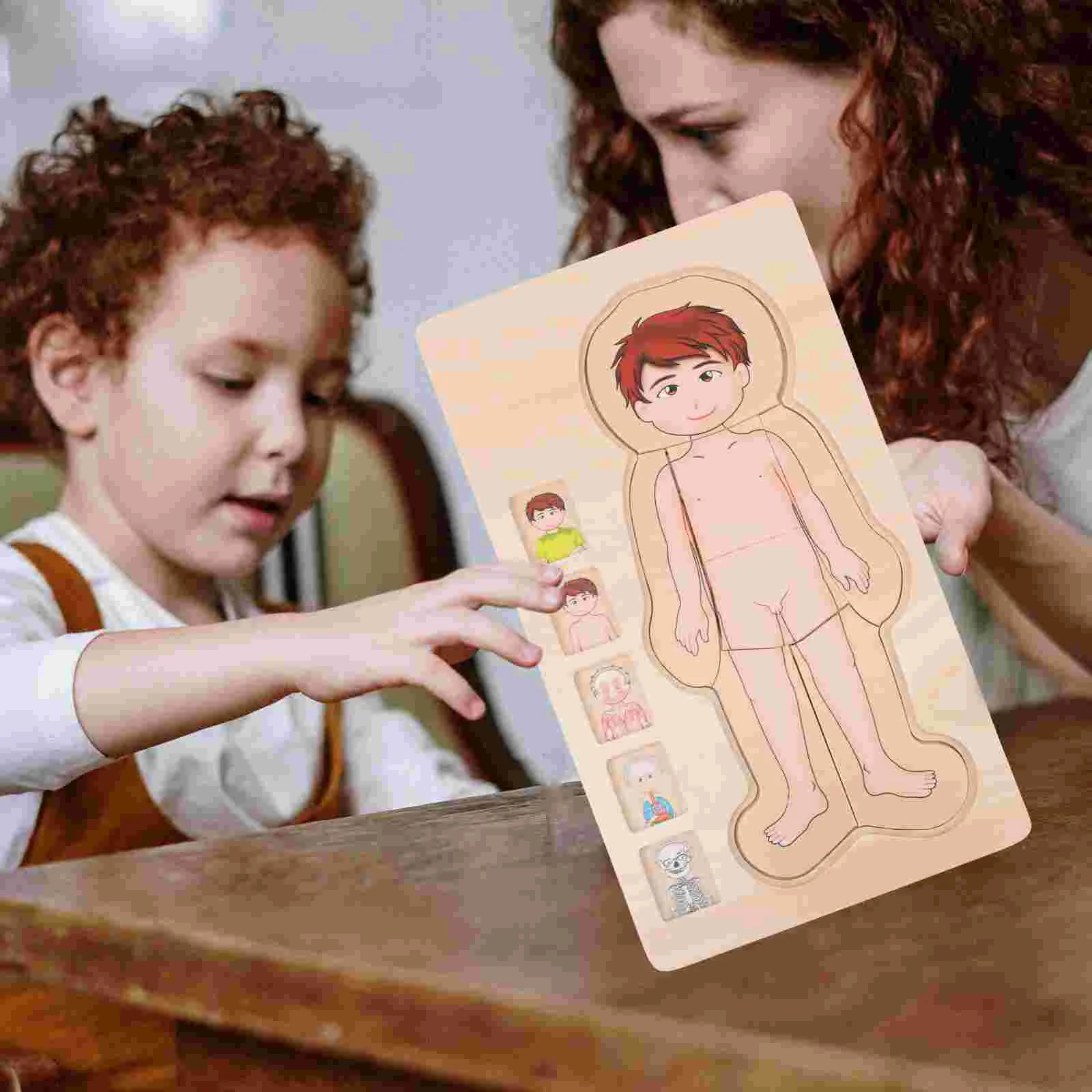 Multilayer Puzzle Wood Toy Girl Toys Boys Human Body Wooden Cartoon Structure Cognition Funny Toddler