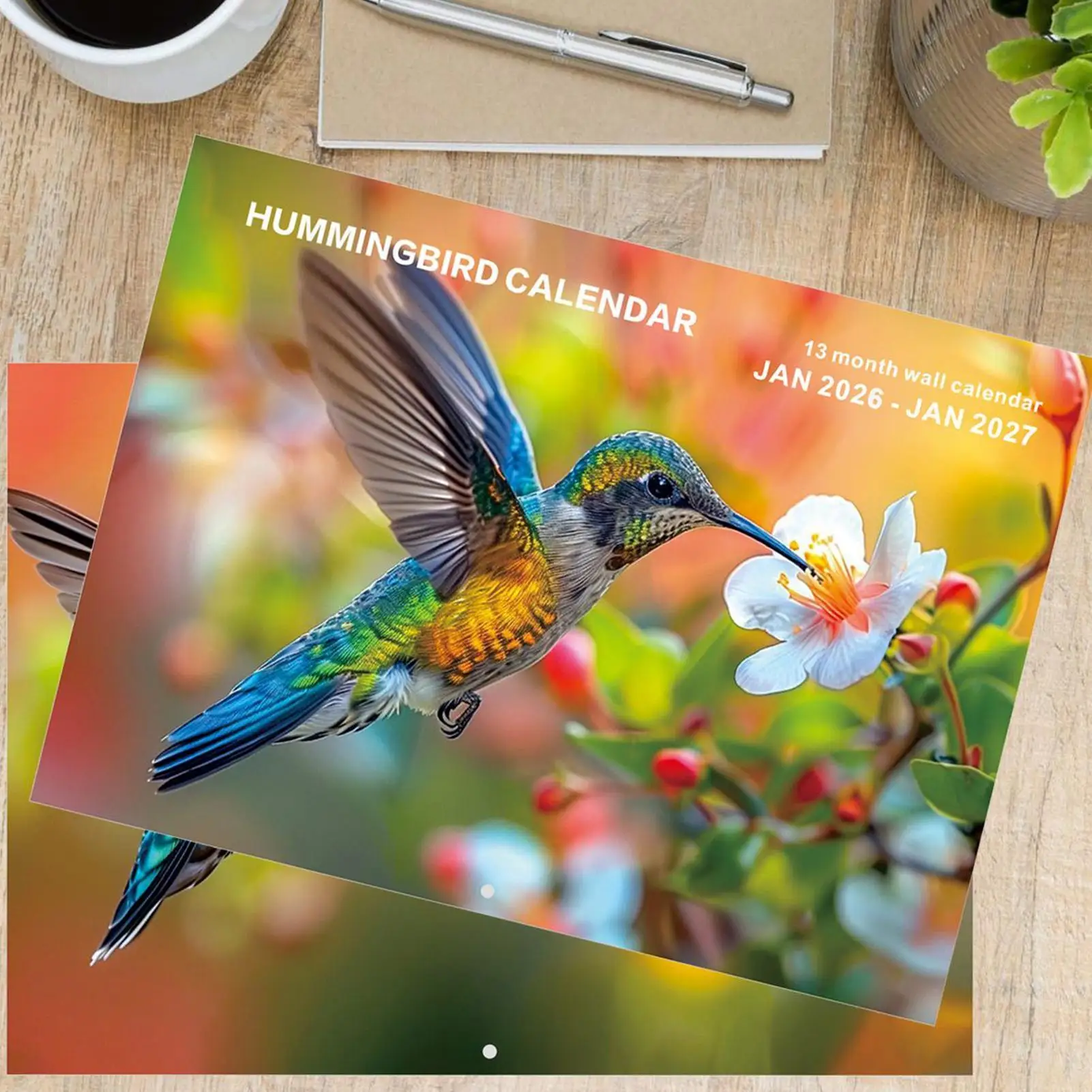 Hummingbird Calendar 2026 13-Month Calendar With Hummingbird Patterns Jan 2026 Jan 2027 Wall Planner For Nature Enthusiasts Bird