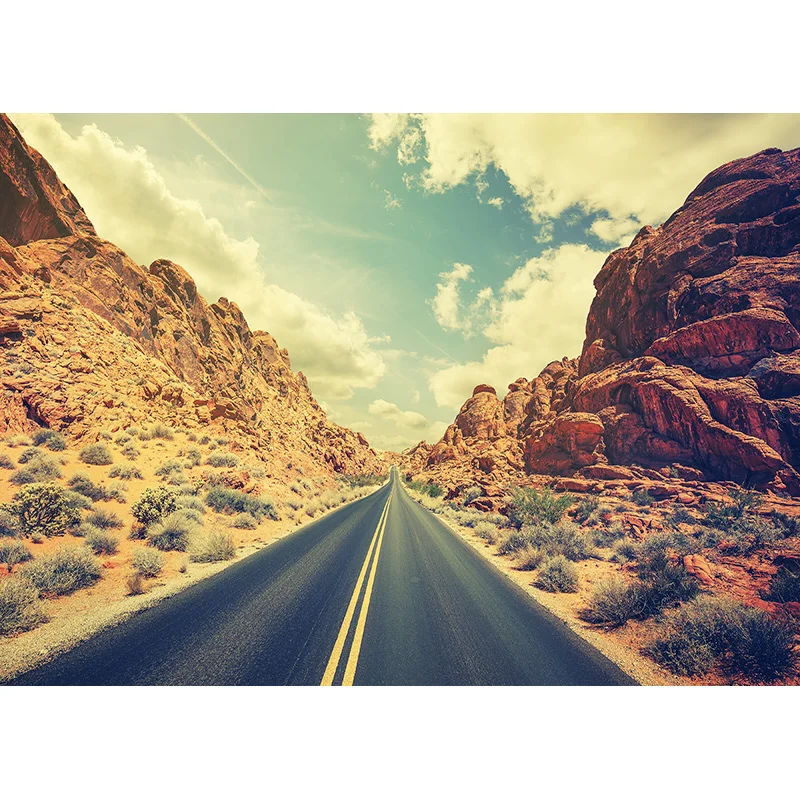 Pano de fundo de fotografia com visão natural da estrada, paisagem de viagem, vinil, foto, cenários, estúdio, adereços de 2162 TKGL-06