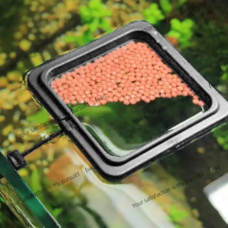 Aquarium feeding ring, fish tank floating food tray feeding, square round accessories