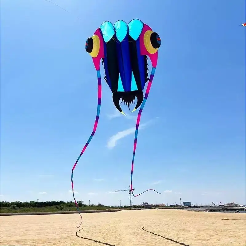 Grand cerf-volant trilobites volant pour adultes, cerf-volant professionnel gonflable, toupie avec corde, jeu de plein air ultra grand