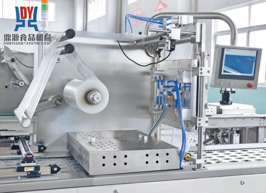 Macchina per sigillare l'azoto Termoforming Macchina per sottovuoto Sigillatrice Mesin Macchina per sigillare l'imballaggio