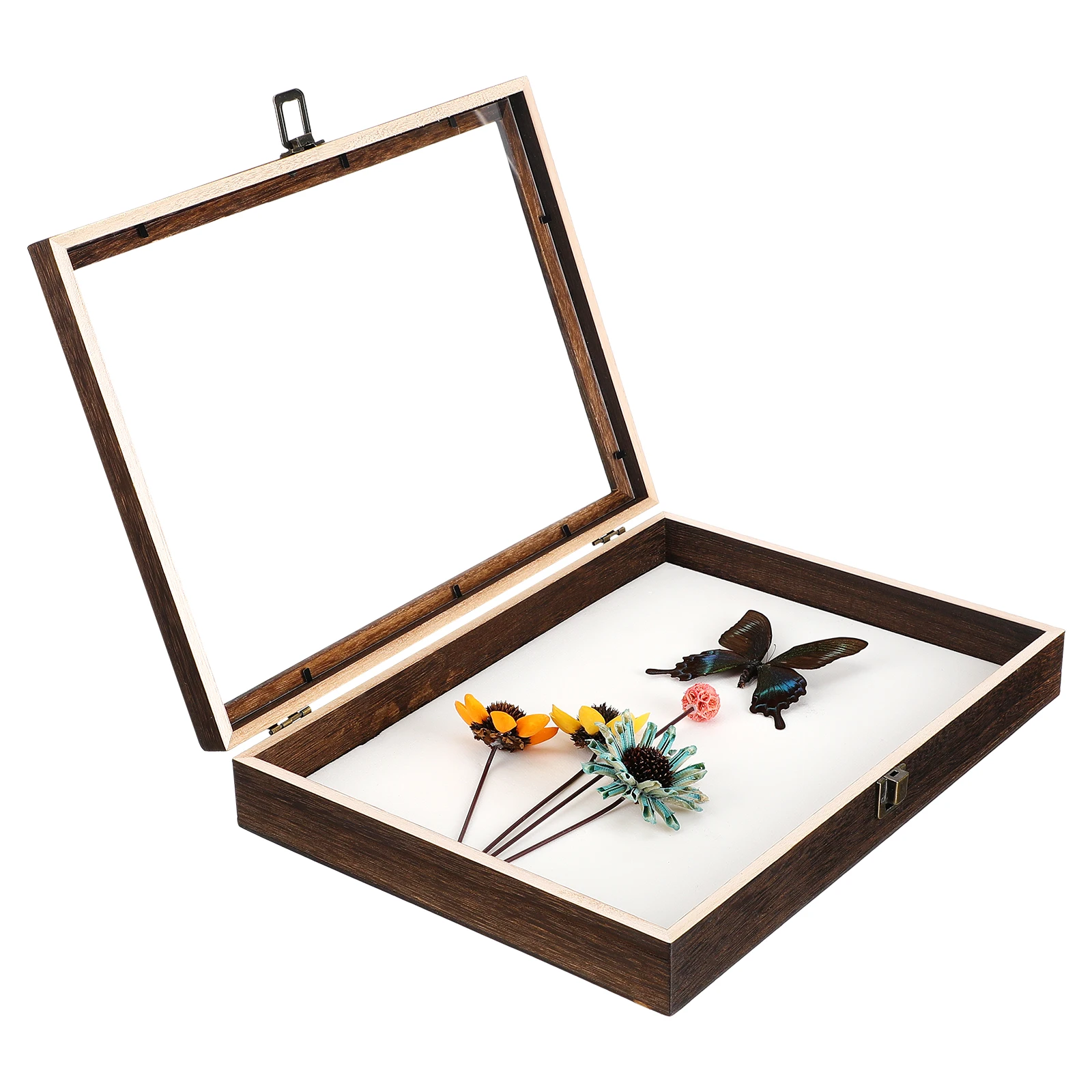 Specimen Display Box High Grade Wood Acrylic Retro Cover Clear Transparent Large Capacity Storage Shadow Frame