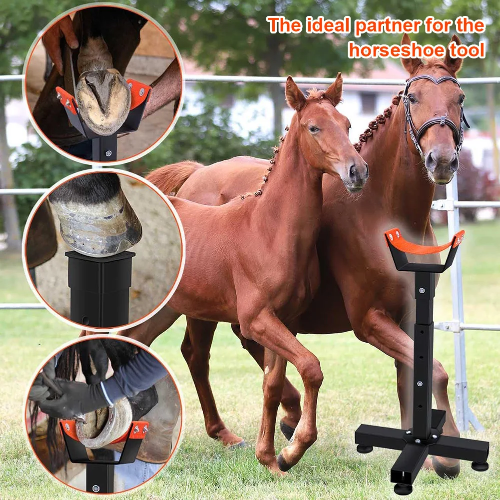 حامل Farrier قابل للتعديل، حامل حافر معدني، حامل حافر الحصان Farrier لأدوات العناية بحافر المقبض