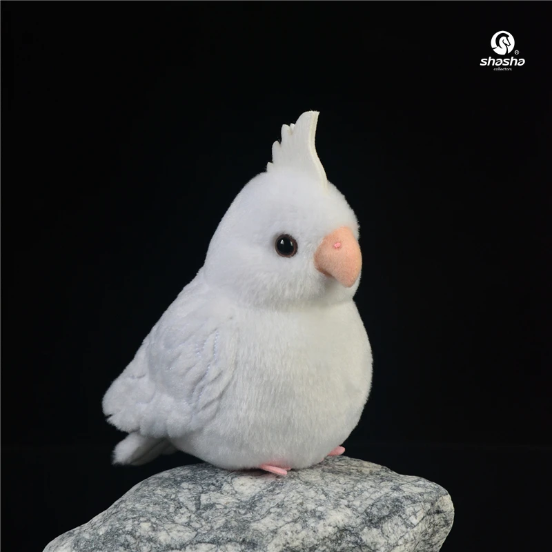 

H125mm Cute Parrot Toy White-headed Parrot Plush Toy Kids Girl Birthday Gift